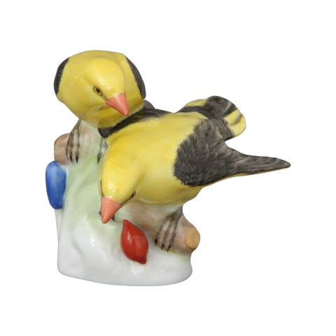 Sárgarigópár, kicsi