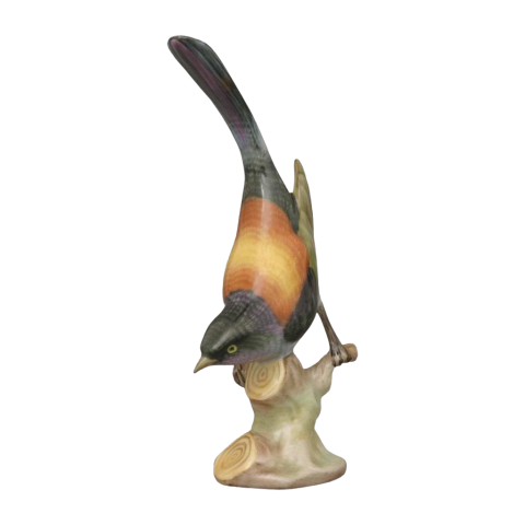 Barázdabillegető, ágon, lefelé néz