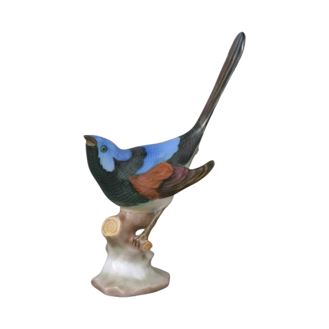 Barázdabillegető, ágon, felfelé néz