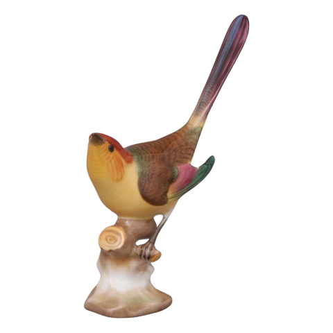 Barázdabillegető, ágon, felfelé néz