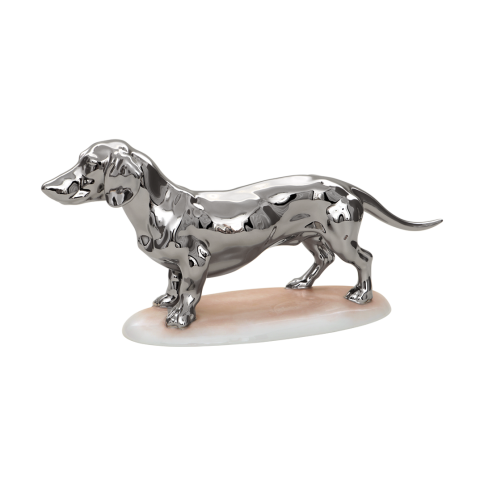 Rövidszőrű tacskó