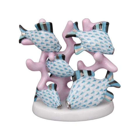 Kishalak, korallágon