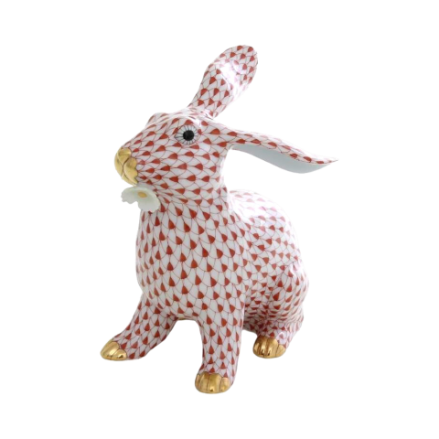 Nyúl margarétával