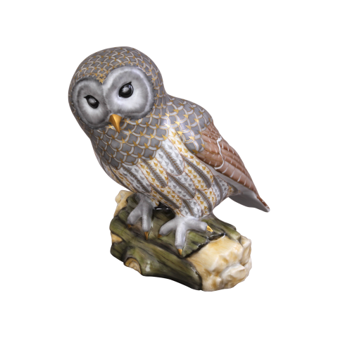 Szalagos bagoly ágon