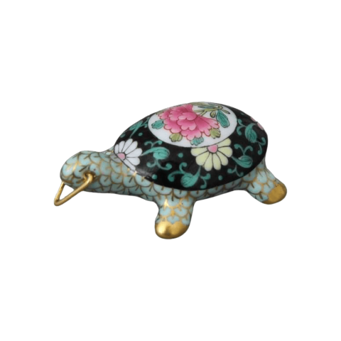 Teknősbéka, lyukkal